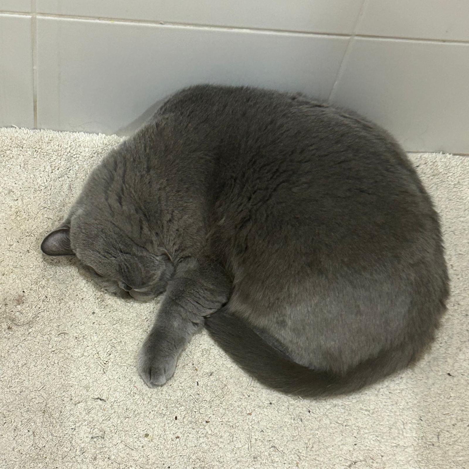 PHOTO-2025-11-27-10-31-37[11]