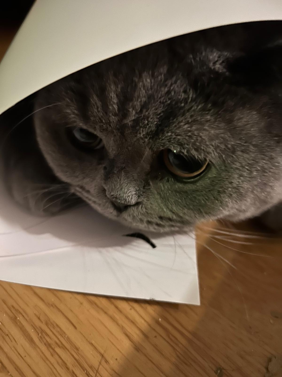 PHOTO-2025-11-27-10-31-37[16]