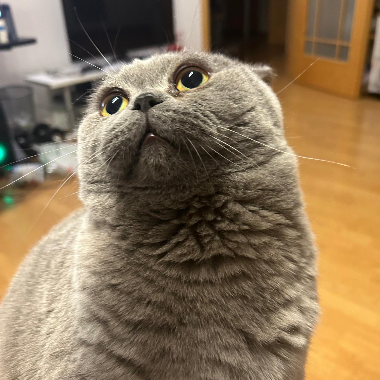 PHOTO-2025-11-27-10-31-37[17]