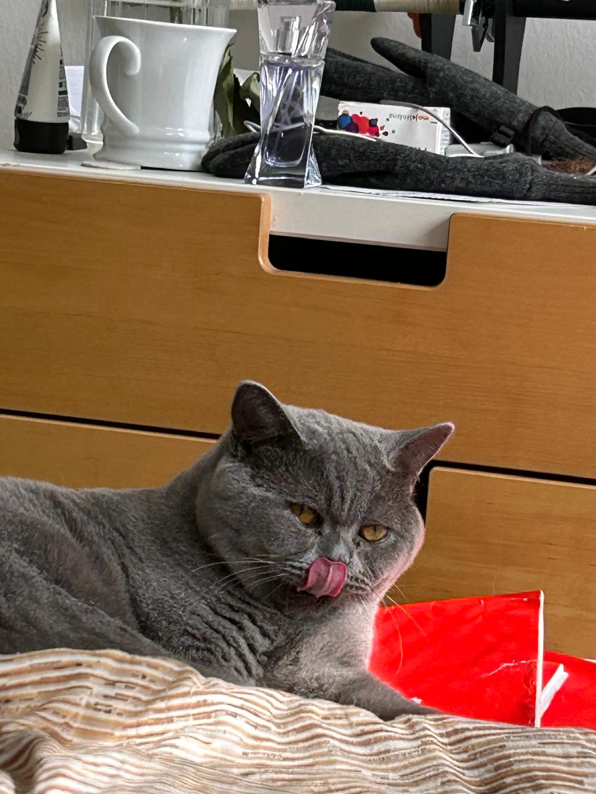 PHOTO-2025-11-27-10-31-37[3]