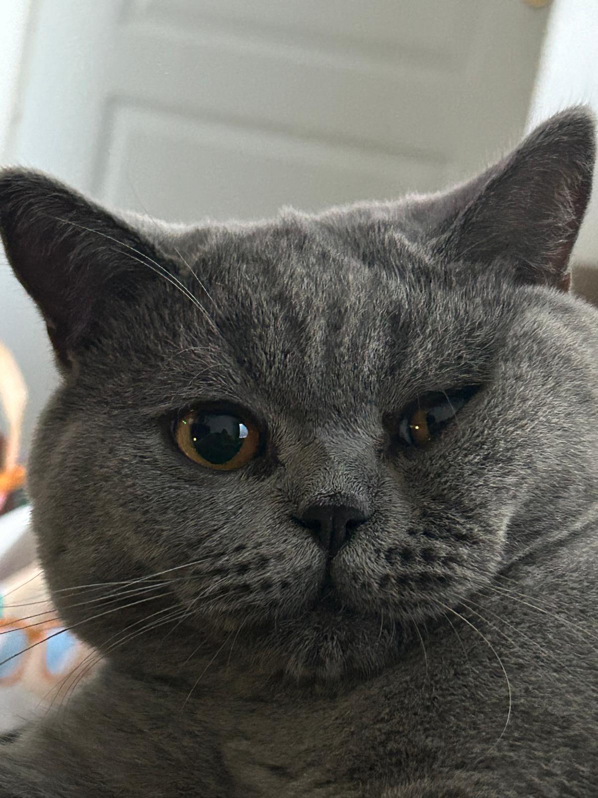 PHOTO-2025-11-27-10-31-38