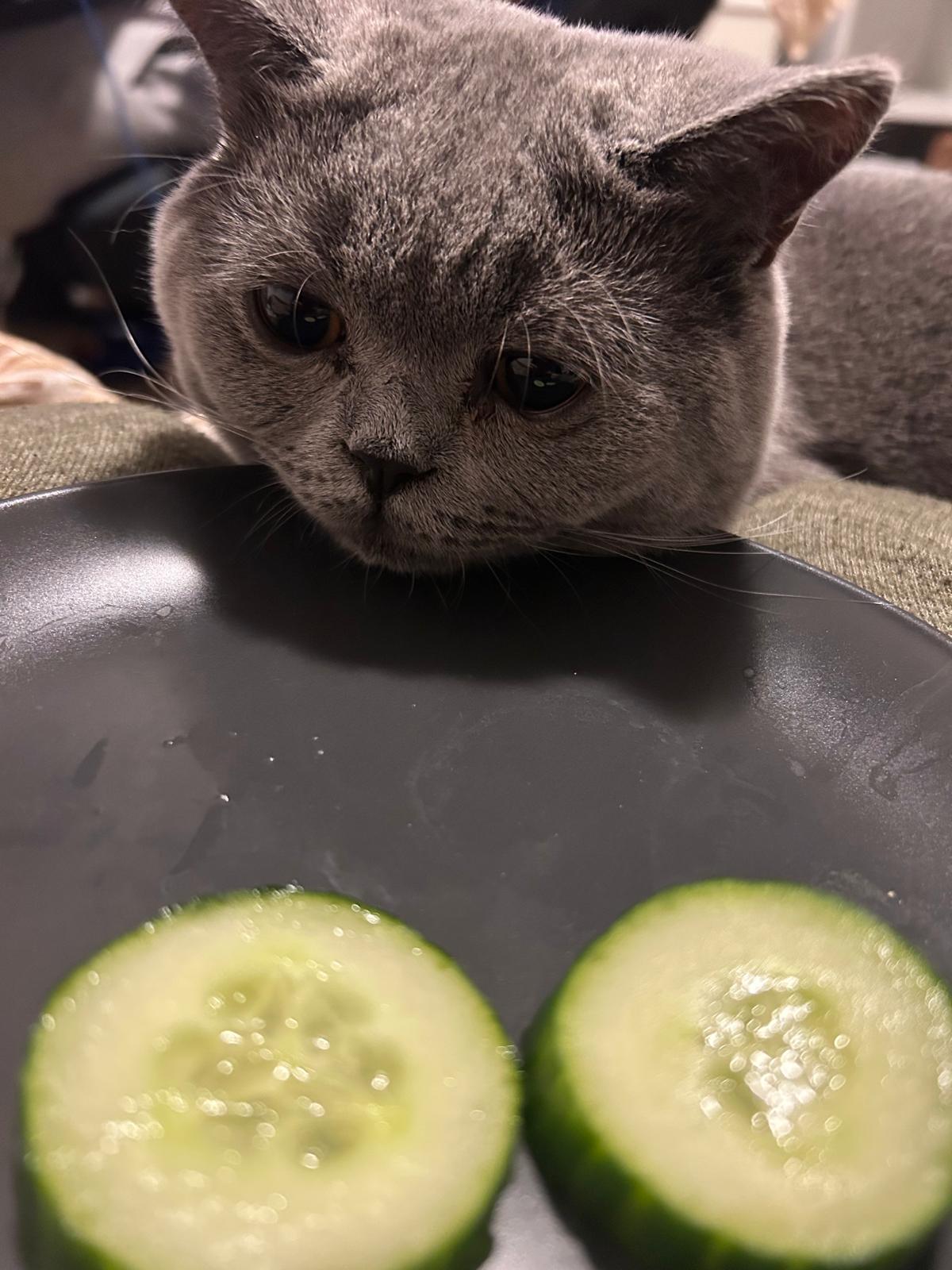 PHOTO-2025-11-27-10-31-38[4]