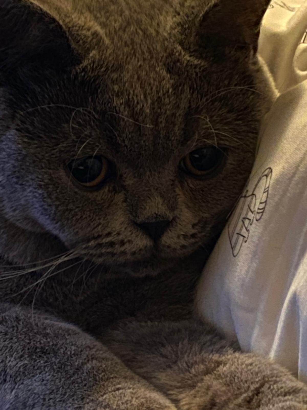 PHOTO-2025-11-27-10-31-38[5]